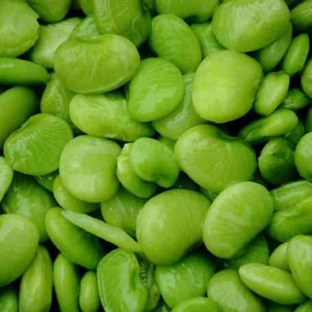 Lima Beans